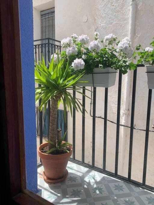 Apartament Casa Ziba Casco Antiguo Wifiaa Peñiscola Zewnętrze zdjęcie